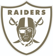 Raider Salute to Service Inspired Mini Football Helmet Decals sides only