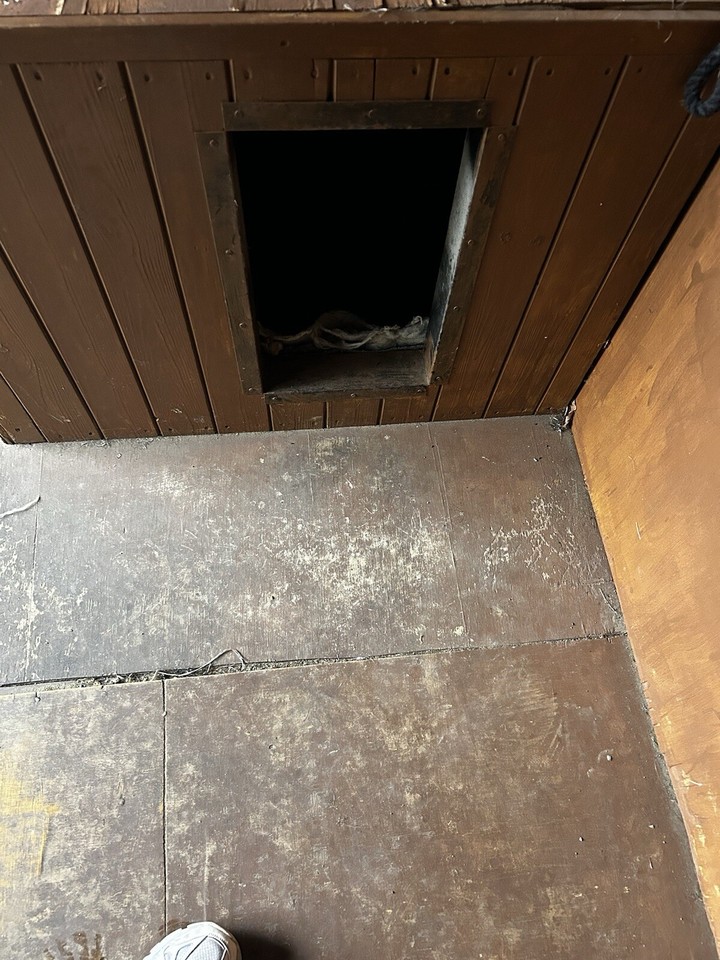 Sherlock Dog Kennel eBay