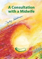 Consultation With A Midwife Ingeborg Stadelmann Taschenbuch 480 S. Englisch 2025