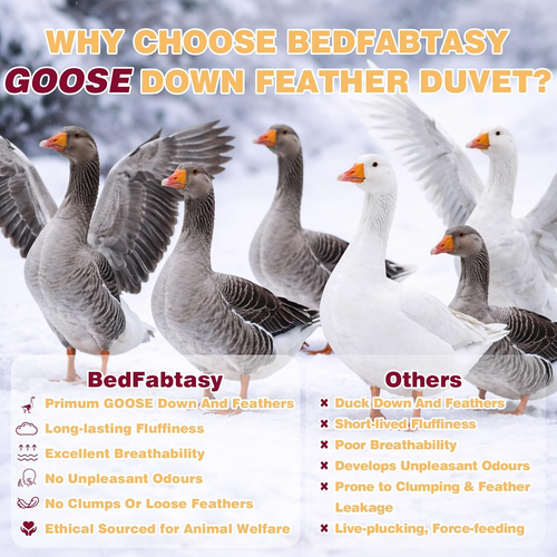Luxury Single Size Duvet 9 Tog Goose Feathers down Duvet｜600Tc Breathable 100% C - Afbeelding 4 van 12