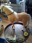 New ListingHorse.Unknown. 14 in at back.19.5 at head.