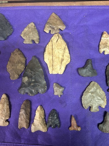 Pfeilspitze Lot authentische Original Speerspitzen Vogelspitzen Paleo-Wald Ohio - Bild 4 von 12