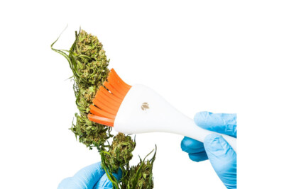CannaBrush Trimming Brush Ergonomic Hand Brush for Leaf Removal FAST & EFFECTIVE