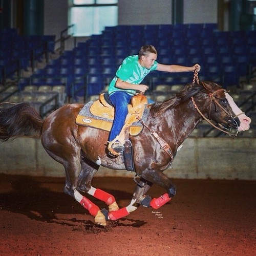 Horse Protective Sport Boots - Extreme Vented - Fronts - 3 Sizes - 7 Colors - Picture 10 of 10