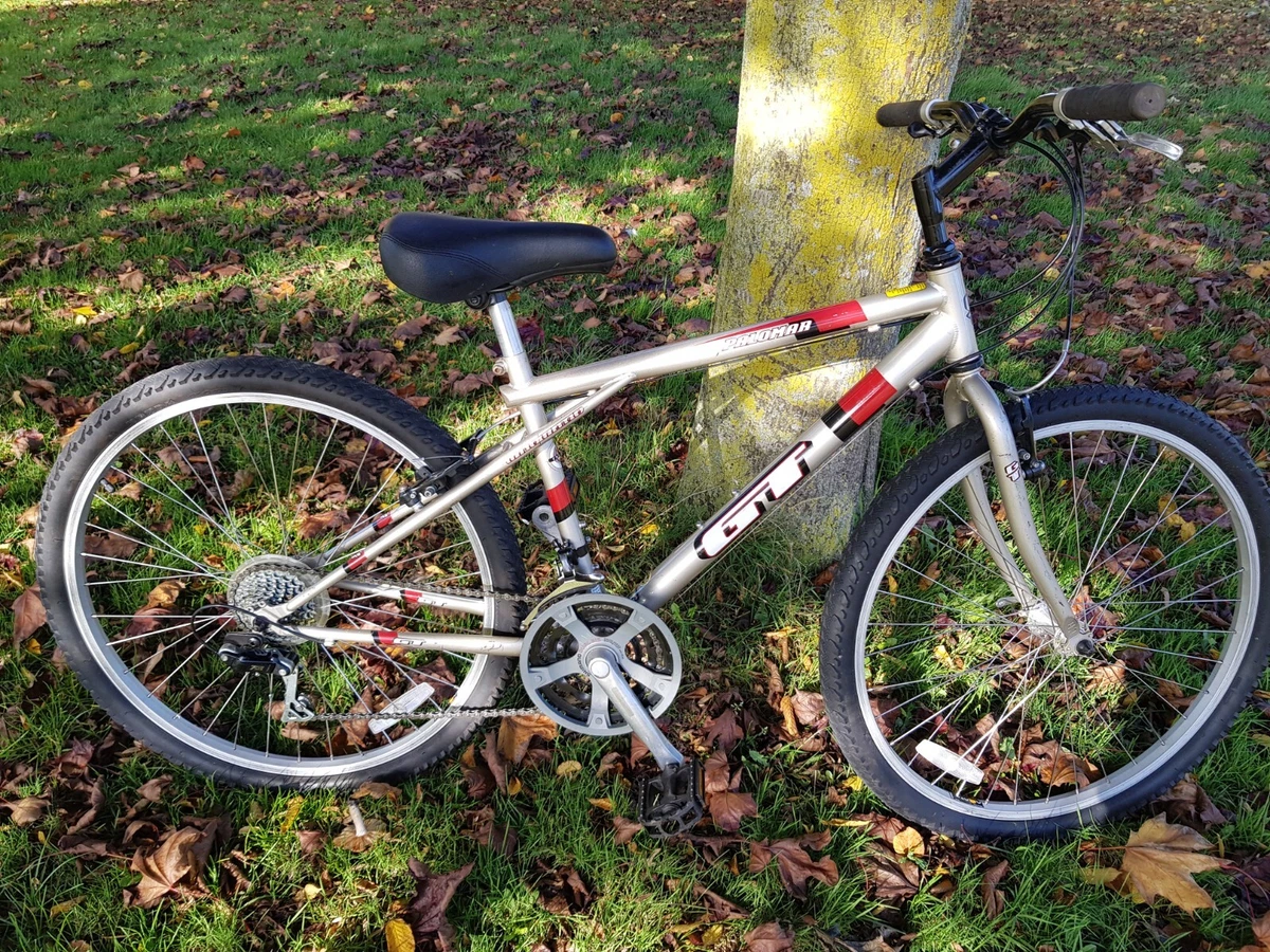 GT Palomar Mountain Bike Fully Shop Serviced