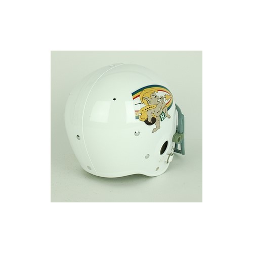 Riddell レインボーバックプレート Riddell レインボーバックプレート HAWAII RAINBOW WARRIORS