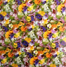 Nappe de Table en Toile Cirée Pensée C970 Carré Rond Oval