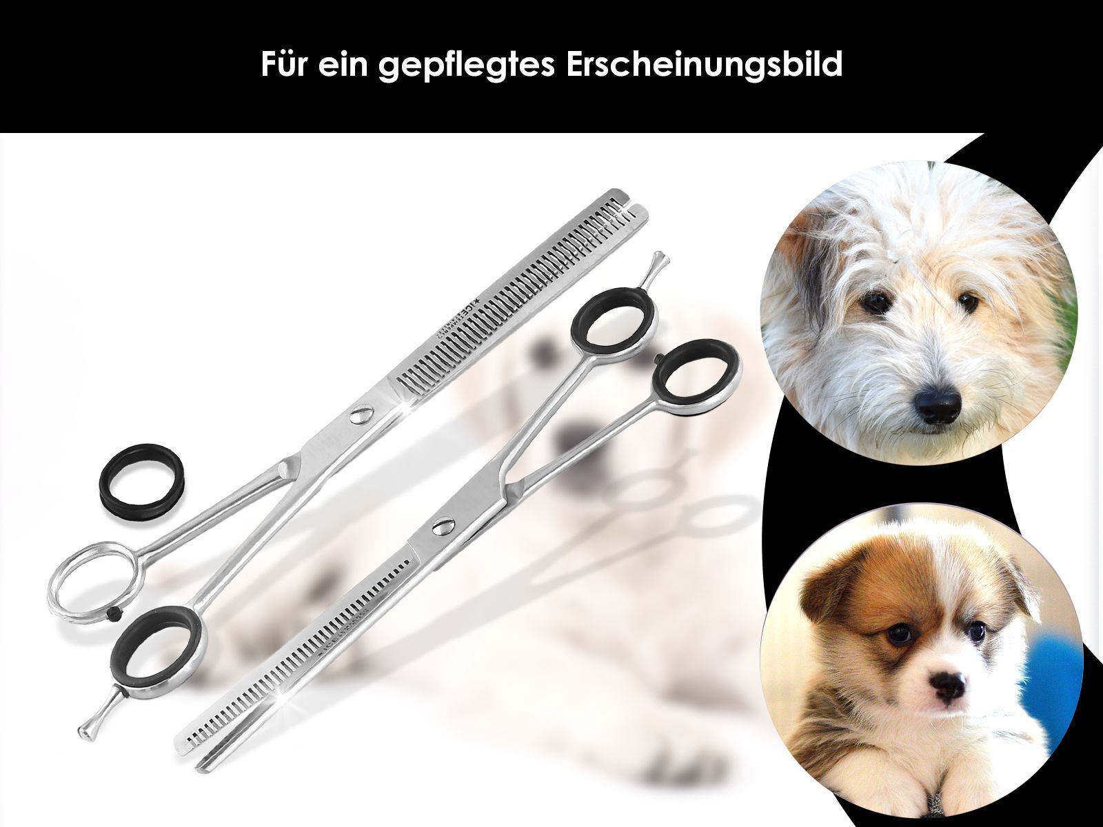 Set Fellschere Effilierschere TIER-Haarschere Hundeschere GROOMING Etui