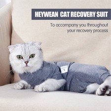 Grey XS Cat Recovery Suit 4 Legged Prevents Hair Loss Highly Elastic