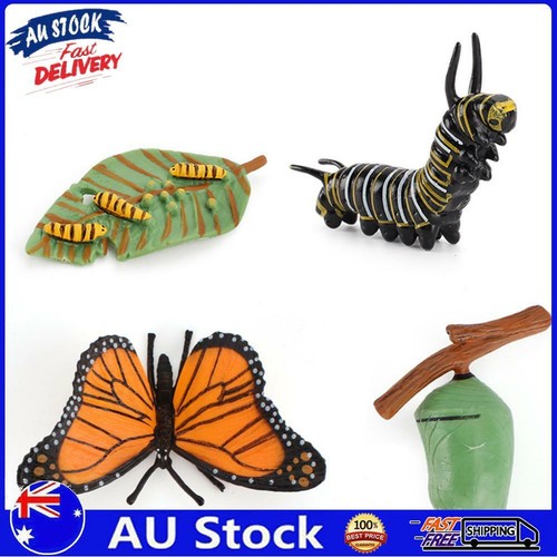 Simulation Animals Growth Cycle Plastic Model Educational Toys