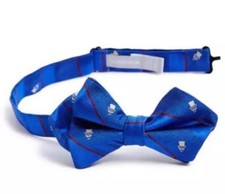 Nordstrom Boy's Blue Skull Stripe Silk Bow Tie L37050 One Size