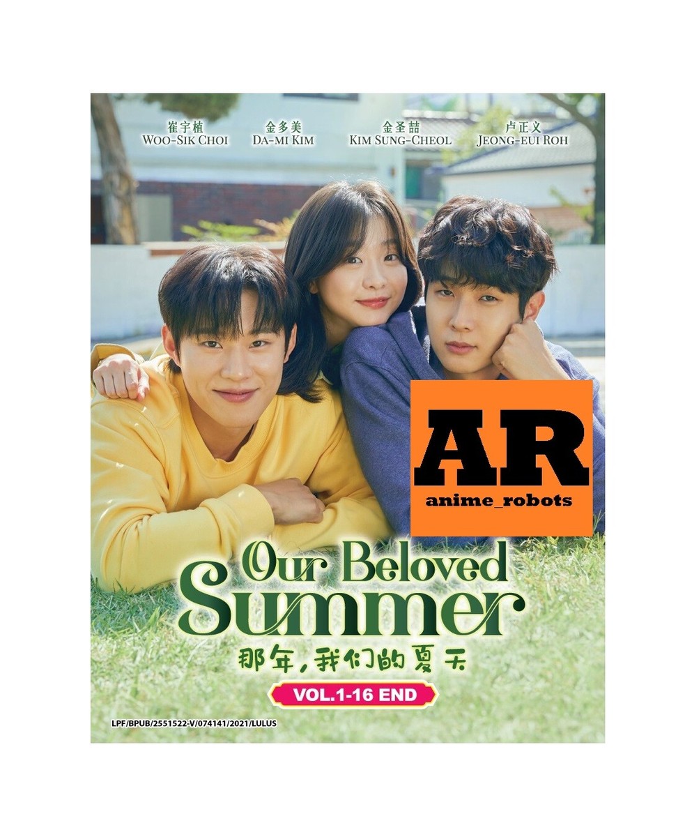 Our Beloved Summer (1-16End) Korean Drama DVD English subtitle