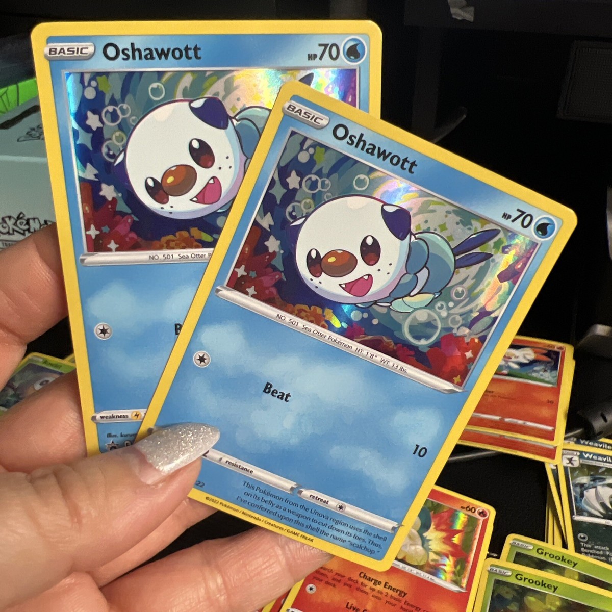 テレビ SHU!!SALE Pokemon TCG - Oshawott SWSH222 - Black Star Promo - Holo Rare - NM