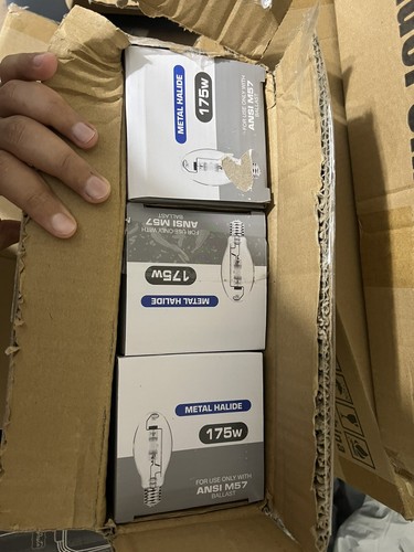Bluex Bulbs 175W Metal Halide Light Bulb ED28 3 PACK - Picture 3 of 3