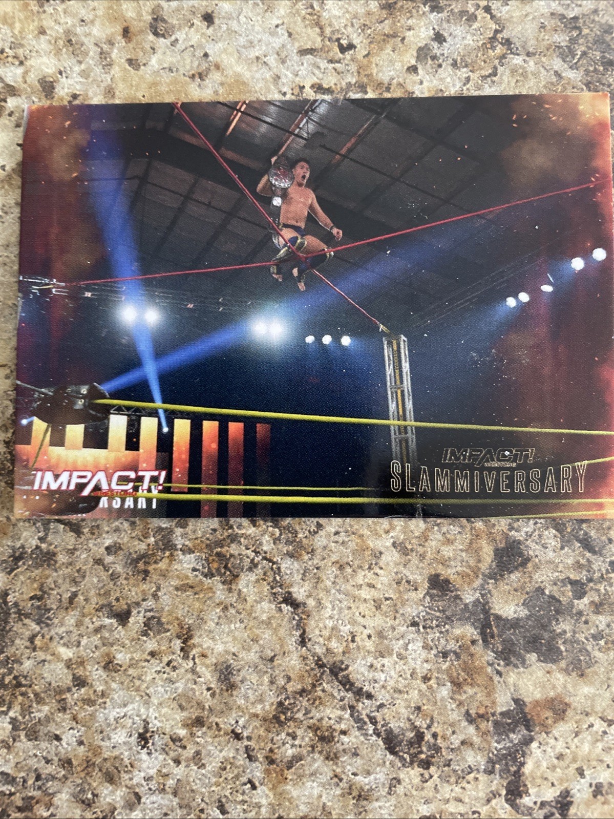 TNA Impact Series 2 Slammiversary Mike Bailey Card 