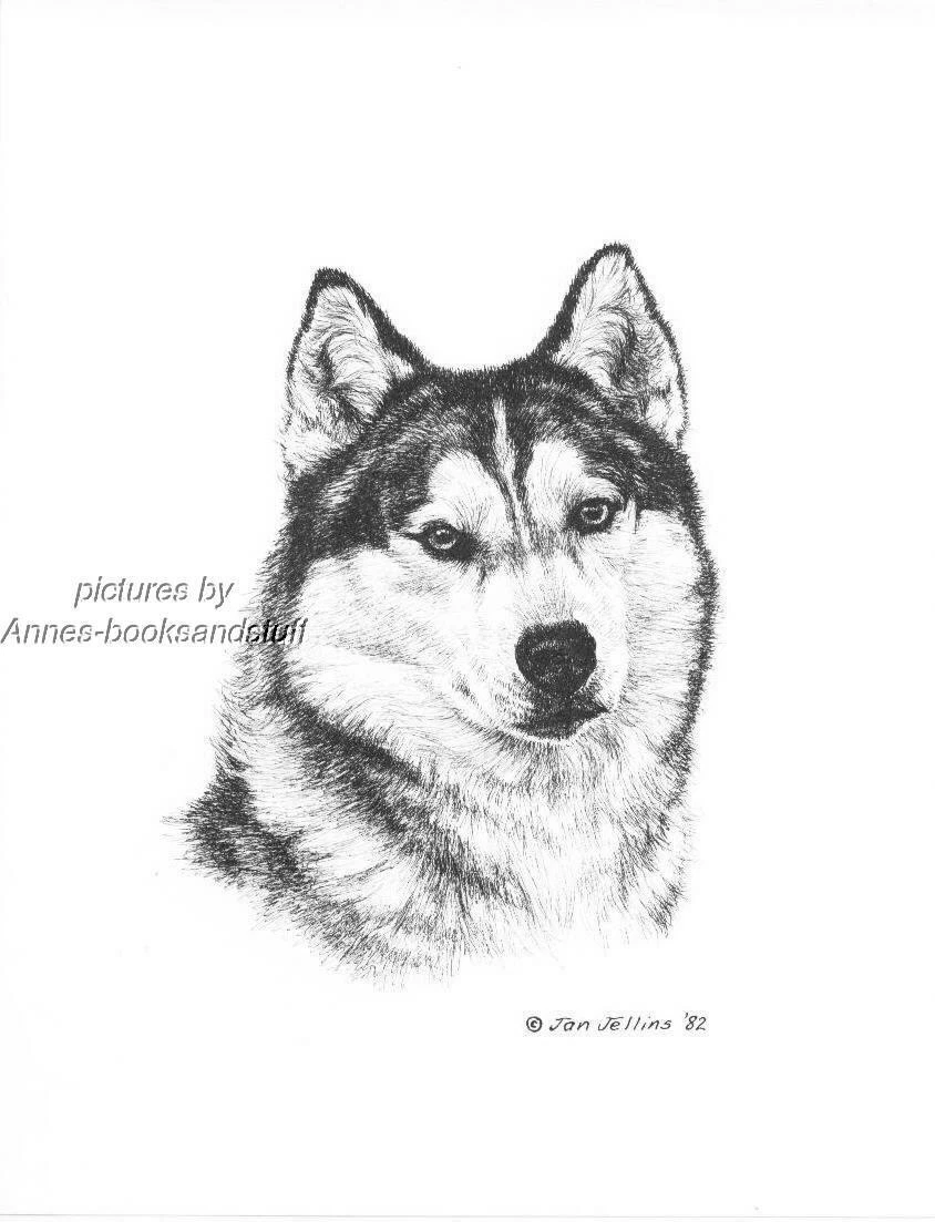 Husky art cheap