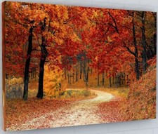 WOODLAND FOREST PATH AUTUMN TREE LEAVES CANVAS PICTURE PRINT WALL ART