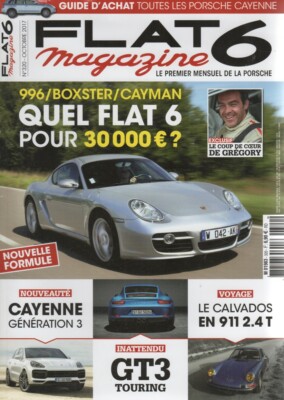 FLAT 6 320 2017 RÜCKENLEHNE 30P Porsche Cayenne 1 2 3 928 GTS 964 RS 3.6 987 BOXSTER
