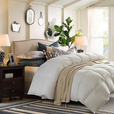 LEDINA Ganzjahres Daunendecke Bettdecke Kassettendecke aus Klasse I weiße Daunen