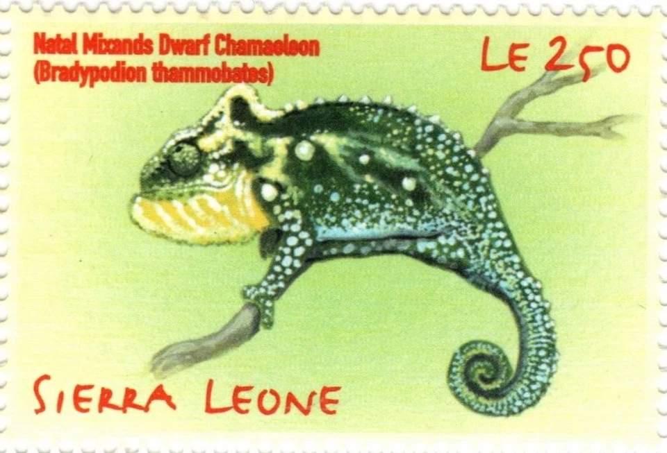 SIERRA LEONE 2001 African Reptiles, Snakes, Turtles,Cobra, Lizards Pair of 6 MNH - Image 3 of 4