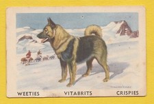 Dogs - Australian Trading Trade Card circa 1958 #40 Elk Hound Elkhound Dog 
