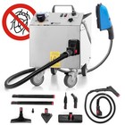 Pulitore Professionale Vapore Cimici Insetticida Disinfetta Sanifica LP01 3K