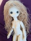 Shuga Doll MSD BJD Box And COA From Company NS Skin, No Face Up — photo 3