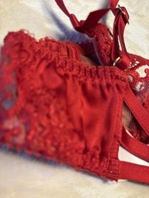 Agent Provocateur Dioni Plunge Underwired Bra 32A $695 EUC Red Sexy Plunge