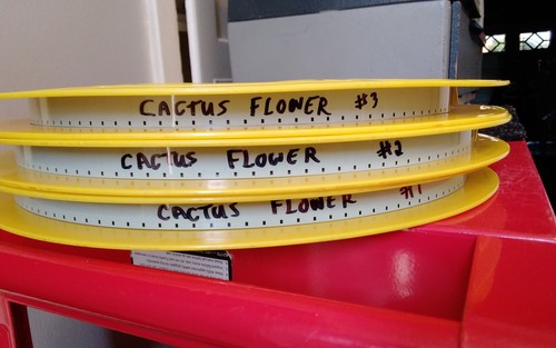 16mm Film – Cactus Flower 1969 Walter Matthau, Ingrid Bergman, Goldie Hawn - Imagen 8 de 9