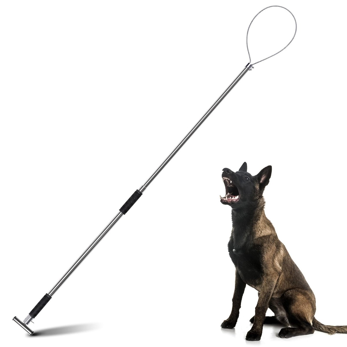 dog fishing pole Sea Dog, Triple Threat Three Rod Holder coated rod Fire Fishing Pole Two Pack