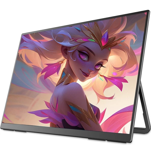 23,8 Zoll 100Hz Tragbarer Monitore 1080P HDMI USB C Für PC Spielkonsole mit VESA