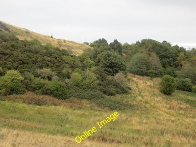 Photo 6x4 Scrub, Dunsapie Edinburgh Evidence of the increased woodland wi c2013