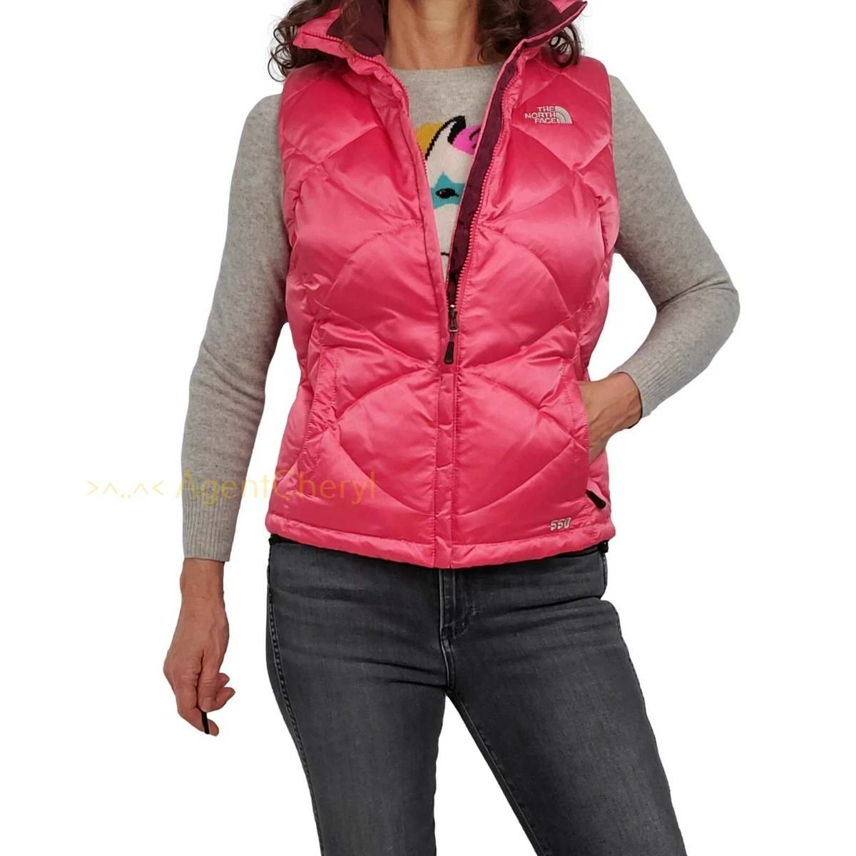 North face shop 550 womens vest