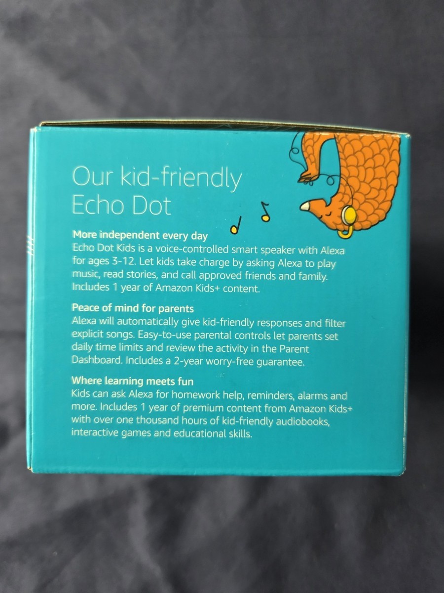 Learning Games On Alexa For Kids Best Kids' Audio Players For