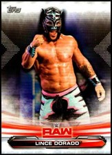 2019 Topps WWE Raw Wrestling Base Singles #1-90 (Pick Your Cards)