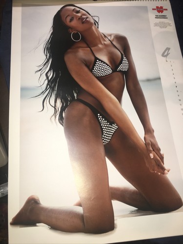 WURTH GIRLS 2002 Sexy Super Model Bikini Swimsuit Photo Wall Calendar Posters - Picture 5 of 9
