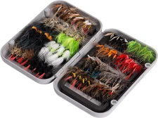 BASSDASH Fly Fishing Assorted Flies Kit, Pack of 64 Pcs Including Dry and Wet Fl