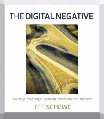 The Digital Negative: Raw Image Processing in Lightroom, Camera Raw, and Photosh