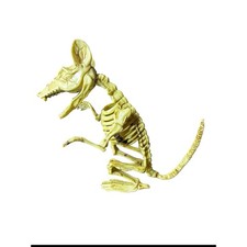 Skeleton Rat 7  Halloween Decoration - Adjustable Mouth and Arms