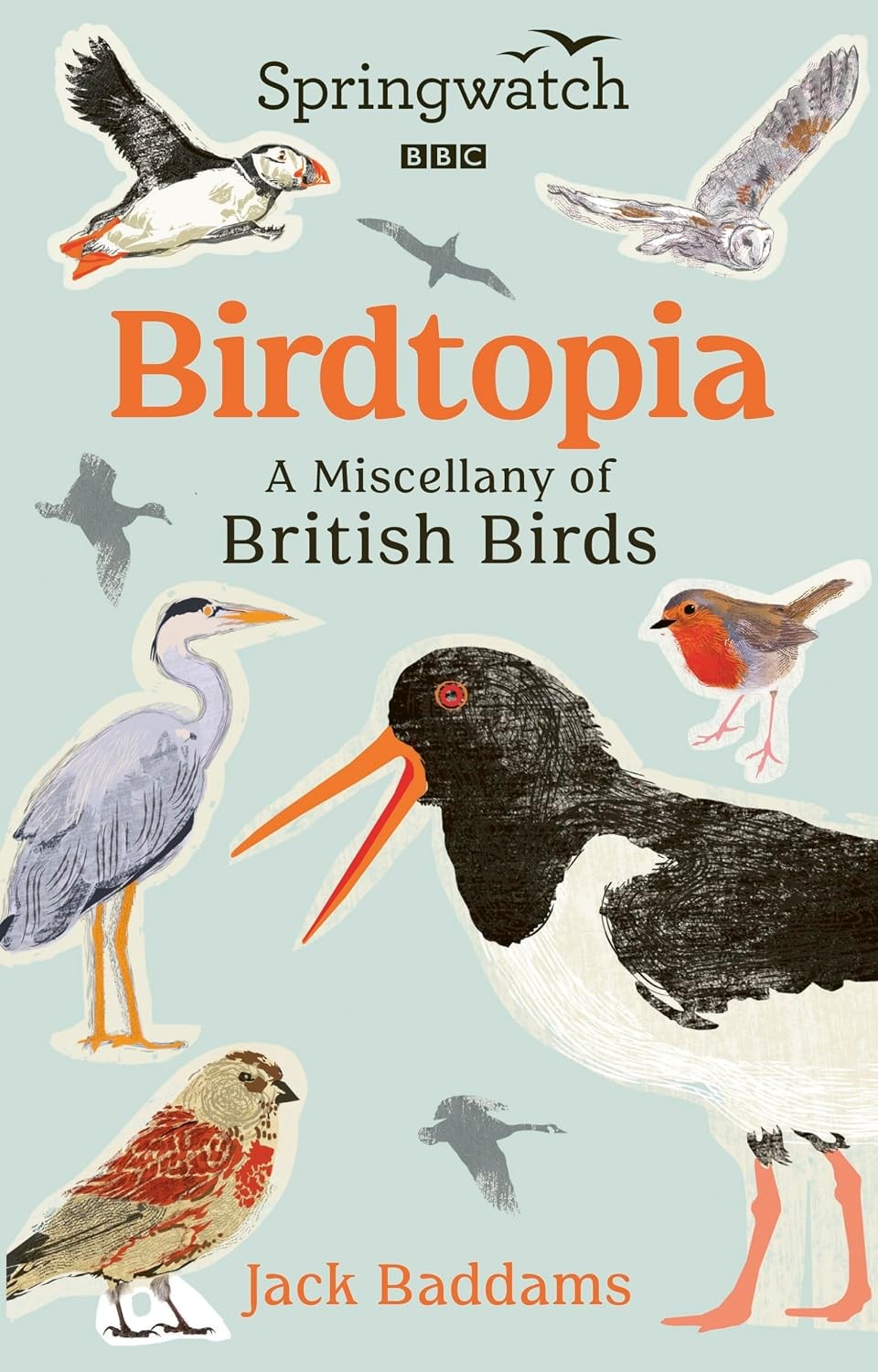 Springwatch: Birdtopia by Baddams  New 9781785948688 Fast Free Shipping,. - Image 5