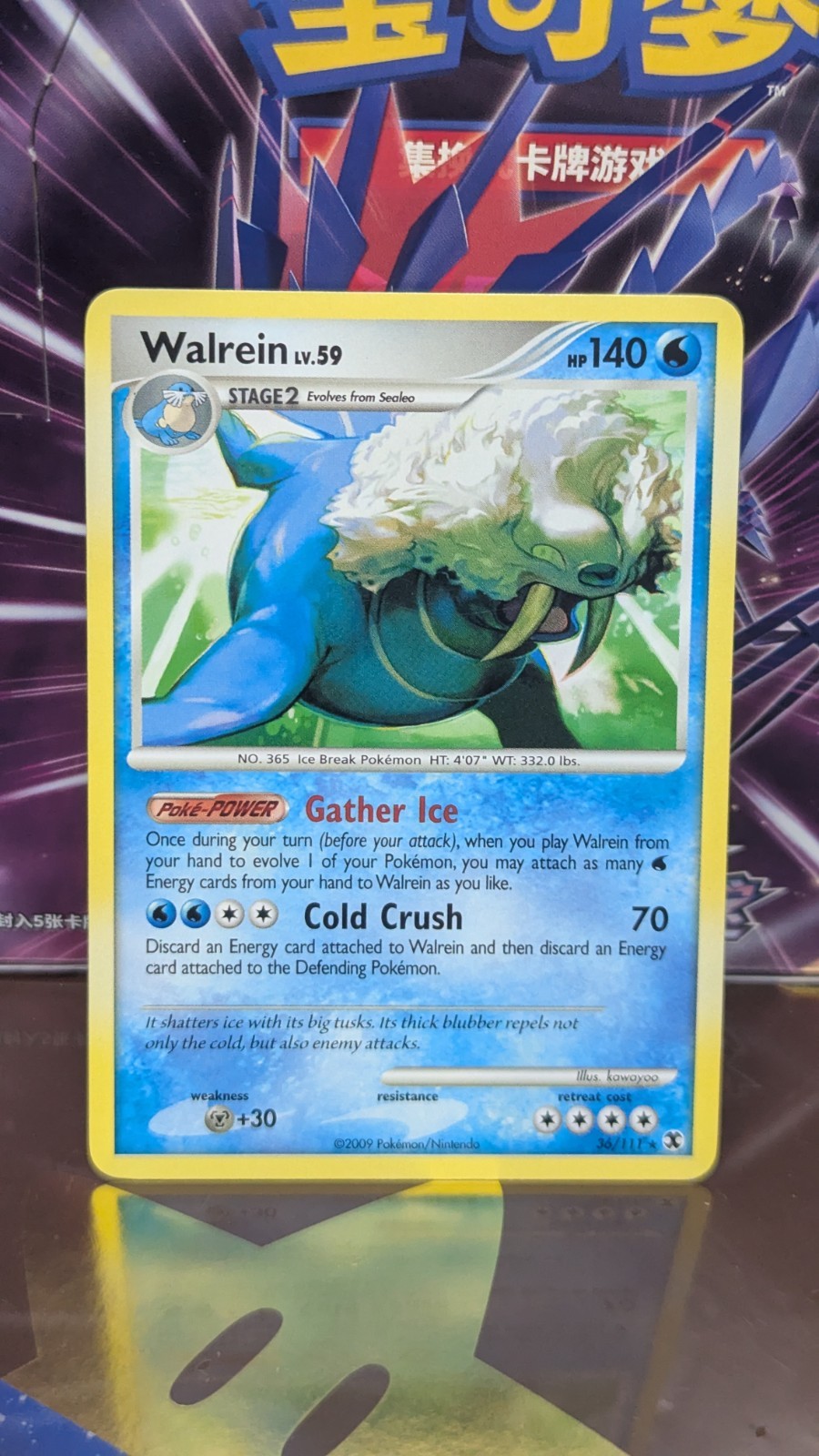 Pokemon TCG 2009 Walrein Rising Rivals #36/111