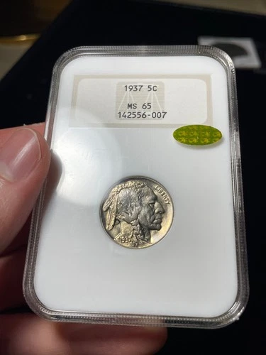 1937 NGC MS65 GOLD CAC Buffalo Nickel Toned Old Fatty Holder
