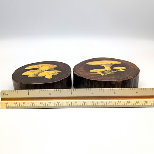 Vtg Set of 2 Small Wall Decor MCM Wood Decoupage Mushroom Art Boho Signed Vera - Picture 8 of 9