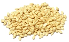 Blue Pearl Wax White Chocolate Coast Hard Bead Wax (Stripless) Small Bag 1lb