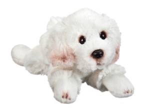 bichon frise stuff