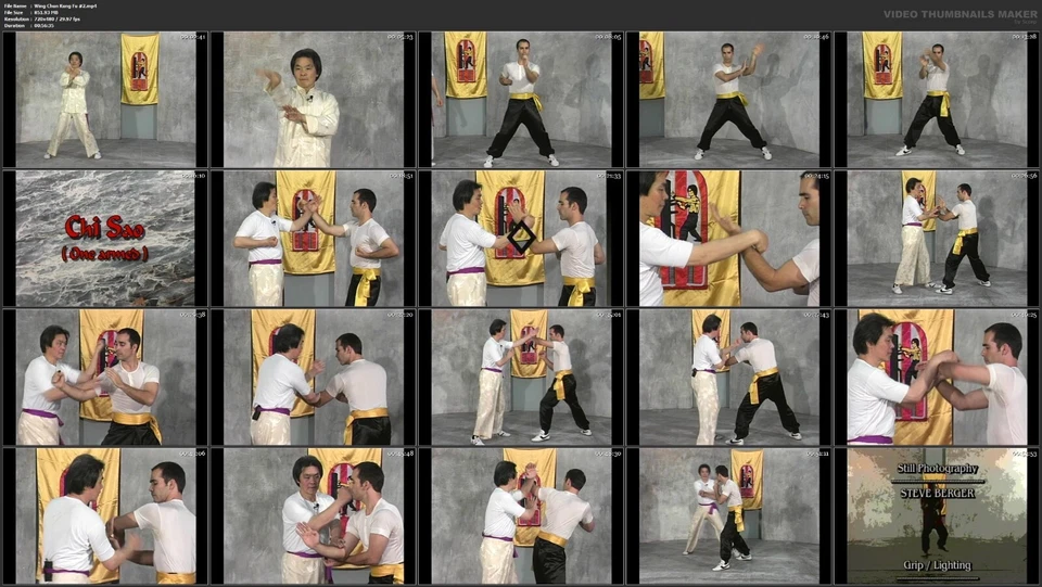 Wing Chun Kung Fu starring William Cheung (5 DVD Set) - Image 3 of 4