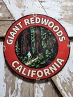 VINTAGE CALIFORNIA PORCELAIN SIGN RARE OLD SEQUOIA REDWOOD TREES FOREST PCH 12"