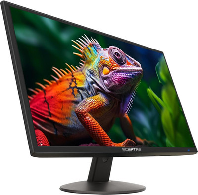 24-Inch Prime Monitor Thin 1080P LED Monitor 99% Srgb 2X HDMI VGA Build-In Speak