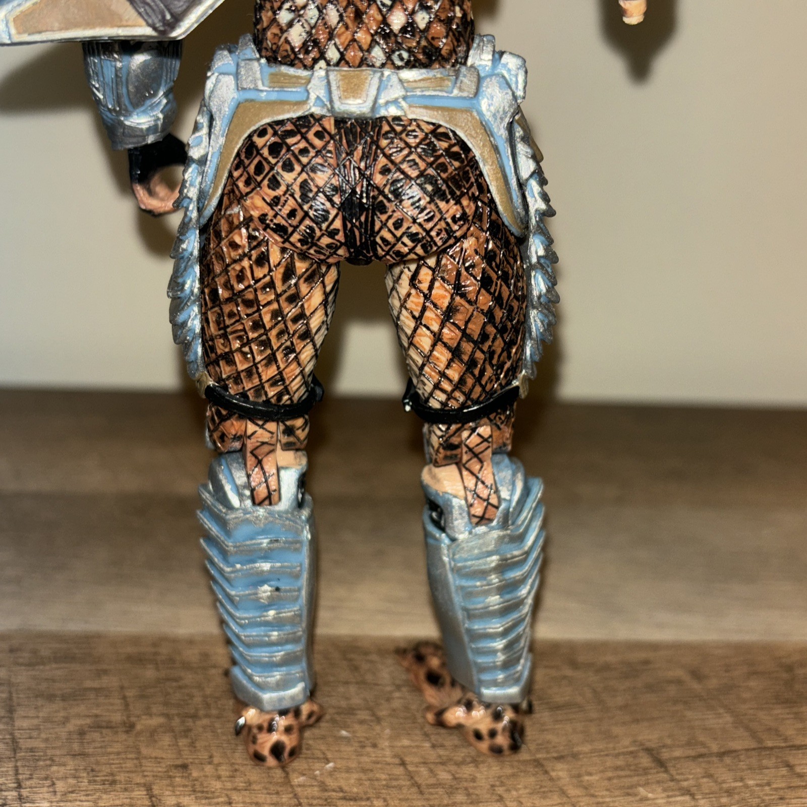 Picture 6 of 12