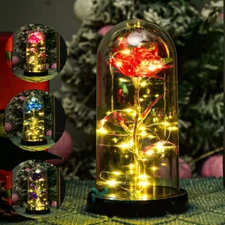 Rose Flower In Glass Gifts For Women Wife Her Valentine Girlfriend Birthday Gift